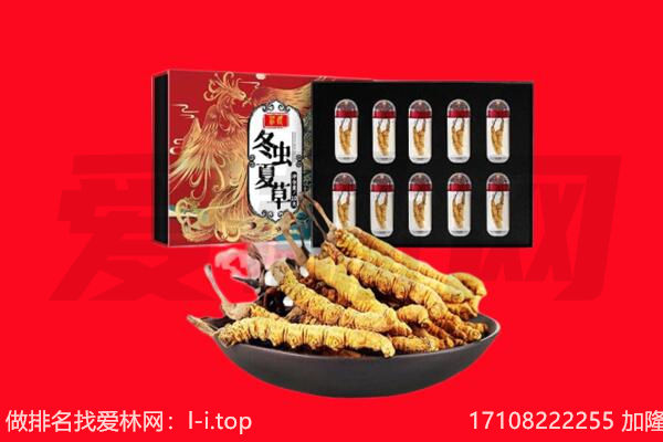 义马市回收虫草.jpg